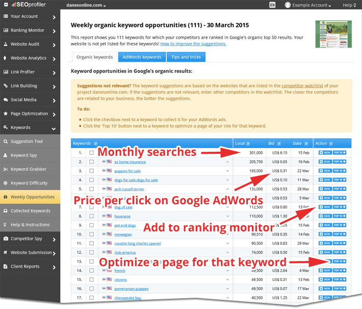 new keyword opportunities