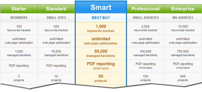 SEO Enterprise Plan
